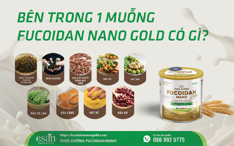 Giải pháp chăm sóc sức khỏe toàn diện với Fucoidan Nano Gold – Xu hướng sống khỏe từ bên trong