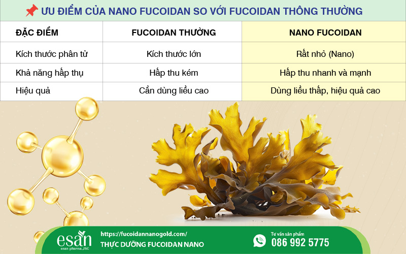 Hợp chất Nano Fucoidan Nhật Bản – Phương pháp hỗ trợ người bệnh ung thư