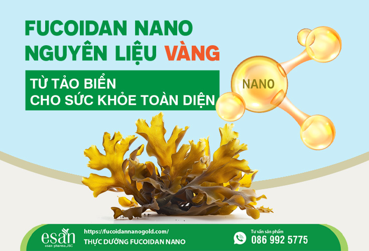 FUCOIDAN NANO – NGUYÊN LIỆU VÀNG TỪ TẢO BIỂN CHO SỨC KHỎE TOÀN DIỆN