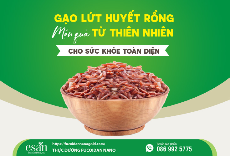 GẠO LỨT HUYẾT RỒNG – MÓN QUÀ TỪ THIÊN NHIÊN CHO SỨC KHỎE TOÀN DIỆN