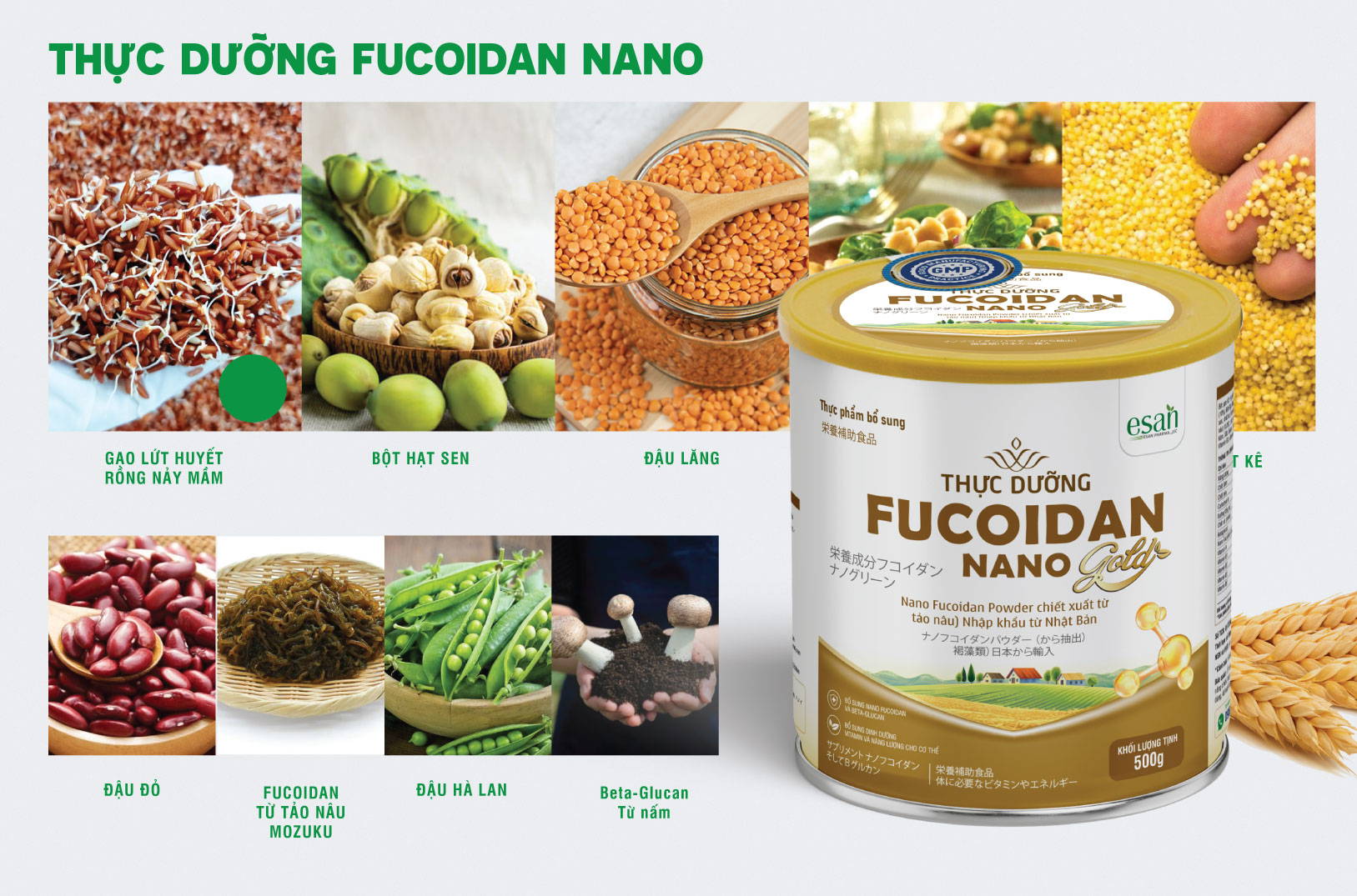 Thực Dưỡng Fucoidan Nano - Tiến Bộ Mới Trong Chăm Sóc Sức Khỏe Từ Công Nghệ Nano