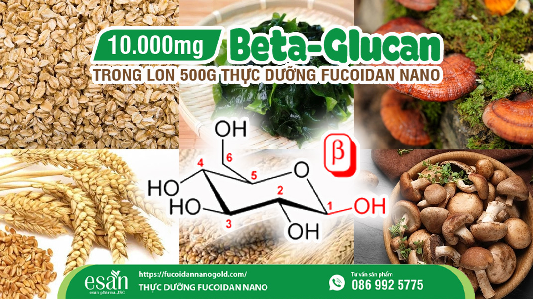 Beta-Glucan Hợp chất tăng cường hệ miễn dịch