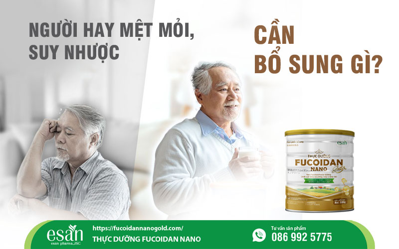 Người hay mệt mỏi, suy nhược cần bổ sung gì? Giải pháp dinh dưỡng giúp phục hồi thể trạng