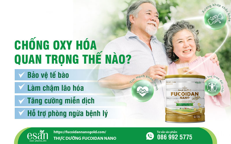Chống oxy hóa quan trọng thế nào? Hiểu đúng để bảo vệ sức khỏe toàn diện