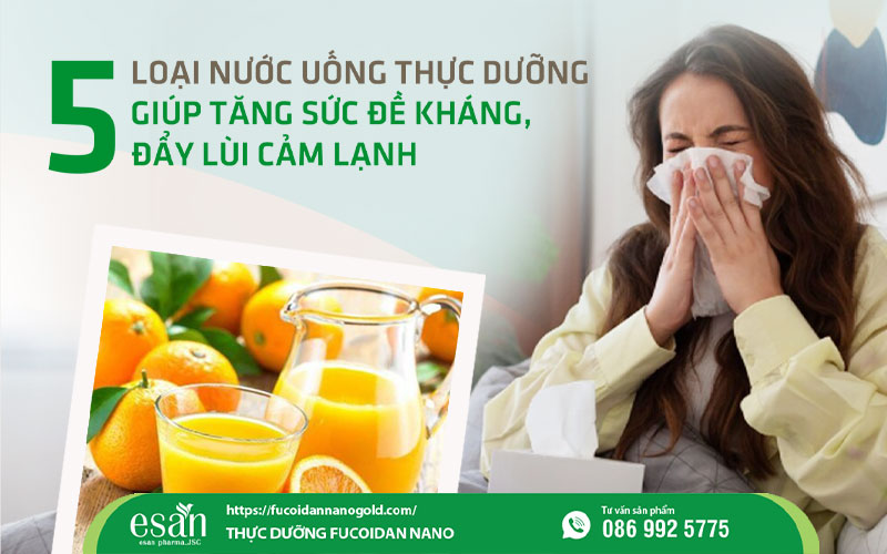 5 loại nước uống thực dưỡng giúp tăng sức đề kháng, hỗ trợ đẩy lùi cảm lạnh