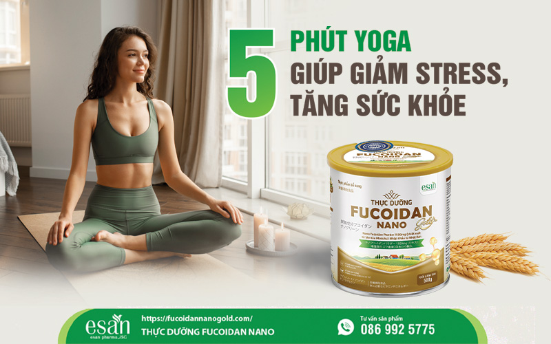 5 phút yoga mỗi ngày - Bí quyết giảm stress, tăng cường sức khỏe tại nhà