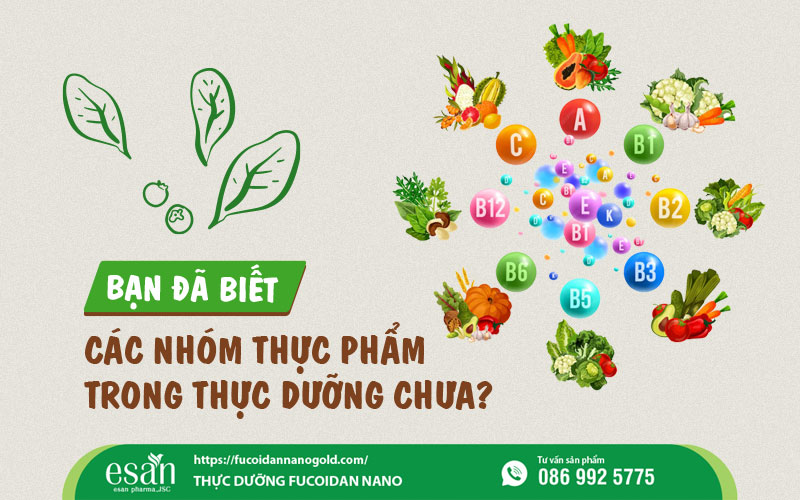 Các nhóm thực phẩm trong thực dưỡng – Hiểu để ăn đúng