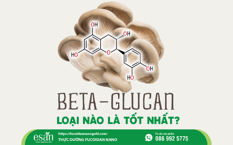 Beta Glucan loại nào tốt nhất? So sánh 4 loại phổ biến và cách chọn đúng