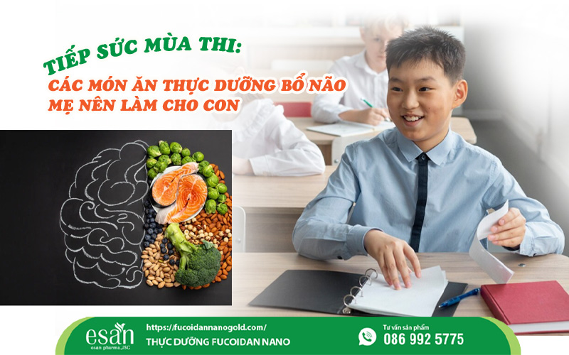 5 món ăn thực dưỡng bổ não cho con mùa thi: Tăng tập trung, giảm căng thẳng hiệu quả