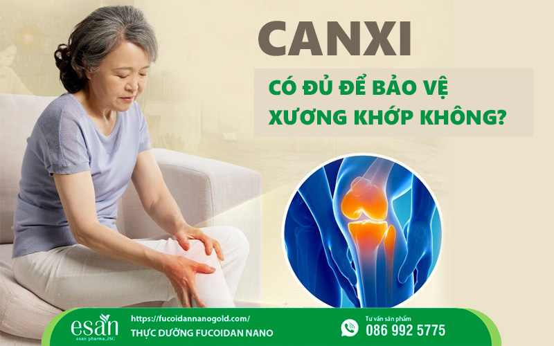 Canxi có đủ để bảo vệ xương khớp không? Sự thật không phải ai cũng biết