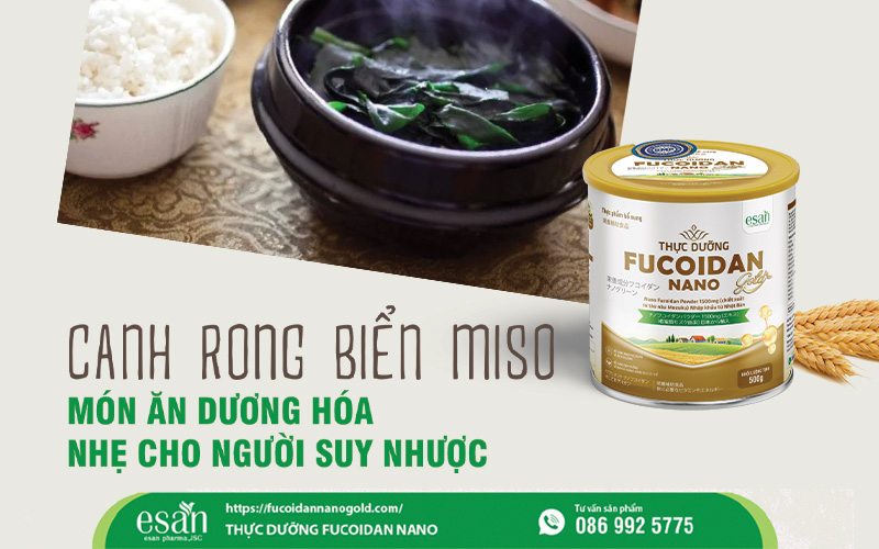  Canh rong biển miso - món ăn dương hóa nhẹ tốt cho người suy nhược