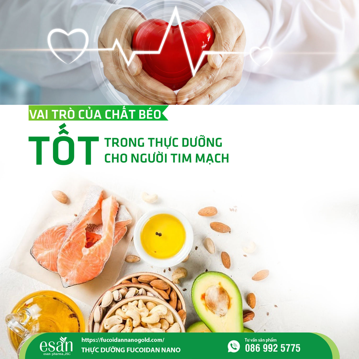 Vai trò của chất béo tốt trong thực dưỡng cho người tim mạch 