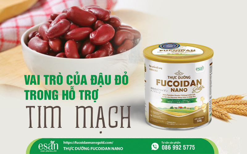 Vai trò của đậu đỏ trong hỗ trợ tim mạch - Bí quyết cho trái tim khỏe mạnh