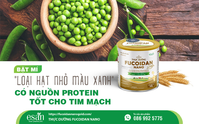Bật mí "loại hạt nhỏ màu xanh" - Đậu Hà Lan: Nguồn protein thực vật tốt cho tim mạch