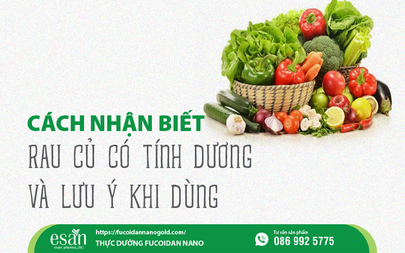 Rau củ có tính dương: Cách nhận biết và lưu ý khi dùng