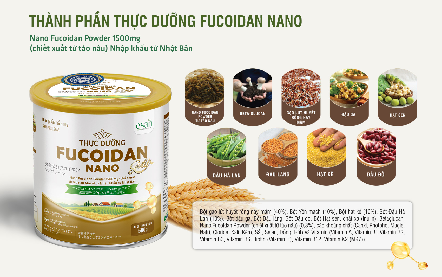 Fucoidan Nano Gold – Hỗ trợ giảm mệt mỏi, phục hồi năng lượng hiệu quả