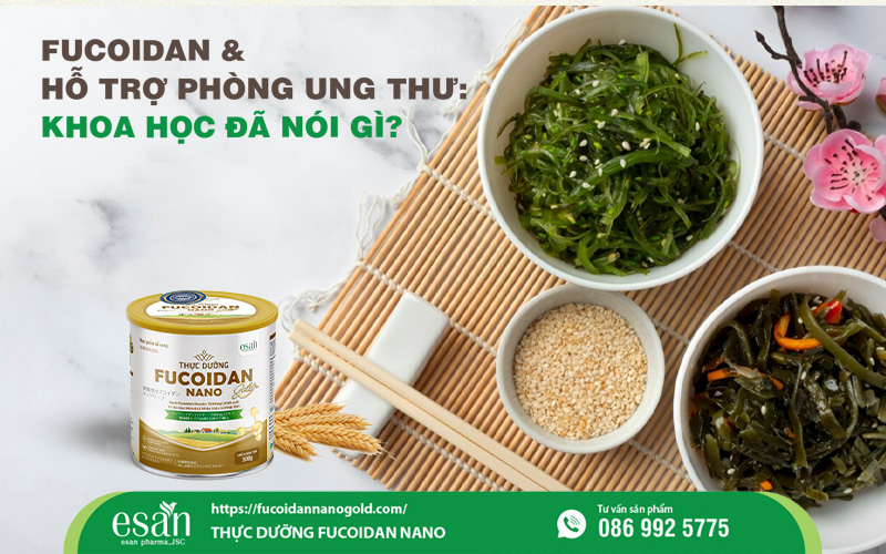 Fucoidan và khả năng hỗ trợ phòng ngừa ung thư: Khoa học đã nói gì?