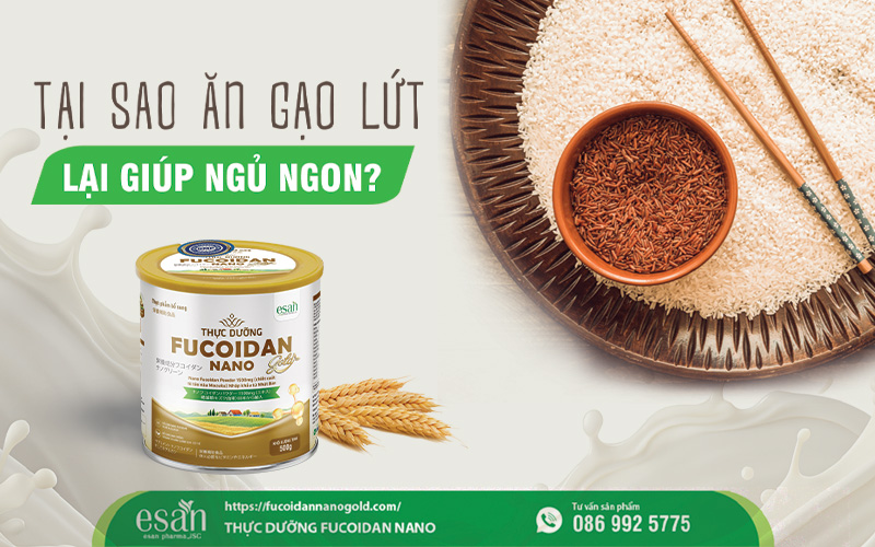 Tại sao ăn gạo lứt lại giúp ngủ ngon? 