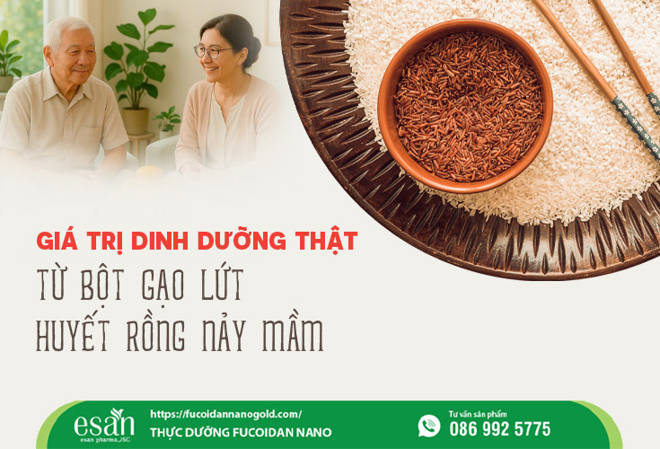 Giá trị thật của gạo lứt huyết rồng nảy mầm bạn đã biết chưa?