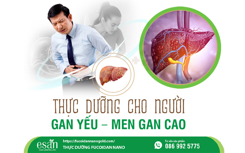 Thực dưỡng cho người gan yếu - men gan cao: Hướng dẫn ăn uống đúng cách để gan khỏe
