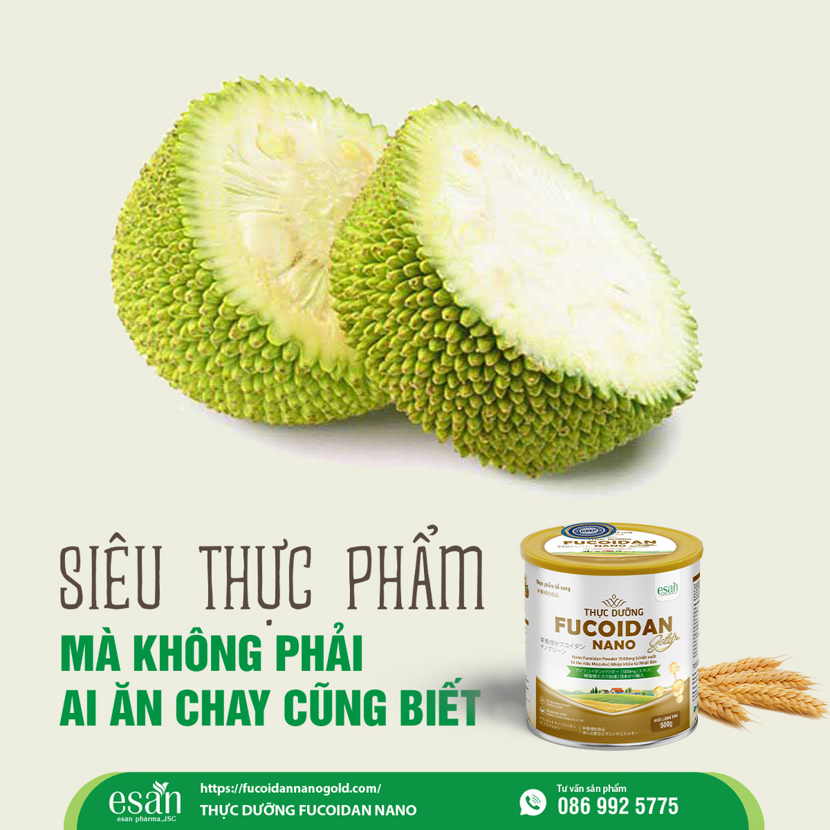 Mít non trong thực dưỡng: Lợi ích và cách sử dụng hiệu quả