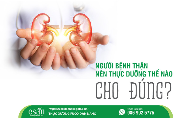 Thực dưỡng cho người bệnh thận thế nào cho đúng? 