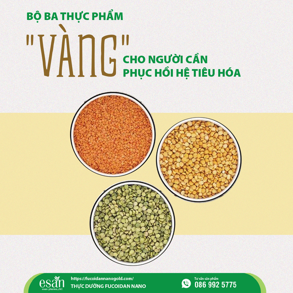 Bộ ba thực phẩm “vàng” giúp phục hồi hệ tiêu hóa