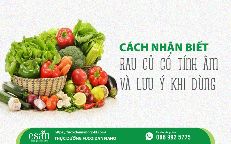 Cách nhận biết rau củ có tính âm và lưu ý khi sử dụng trong thực dưỡng