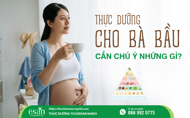 Thực dưỡng cho bà bầu: Những điều cần lưu ý để mẹ khỏe – con phát triển tốt