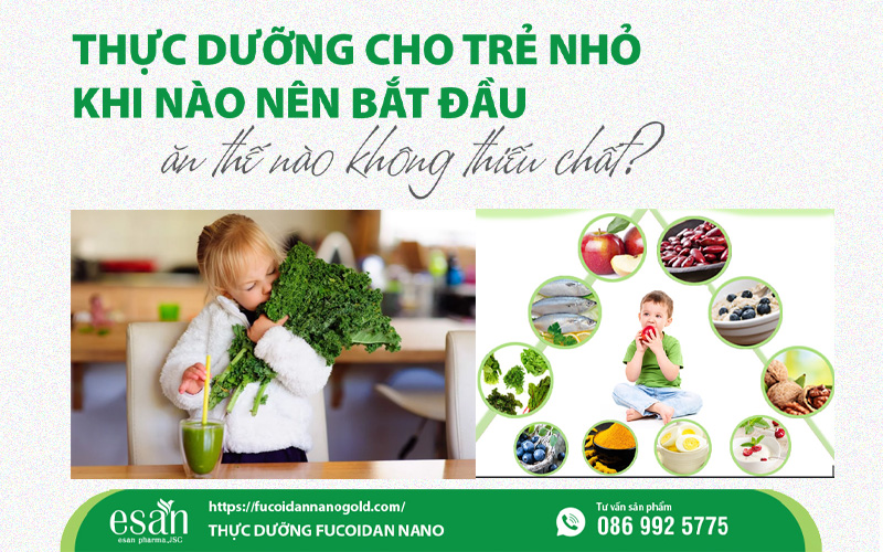 Thực dưỡng cho trẻ nhỏ: khi nào nên bắt đầu? Ăn thế nào để không thiếu chất?