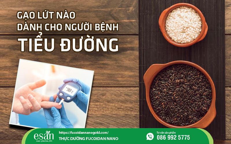 Người bệnh tiểu đường nên ăn loại gạo lứt nào?