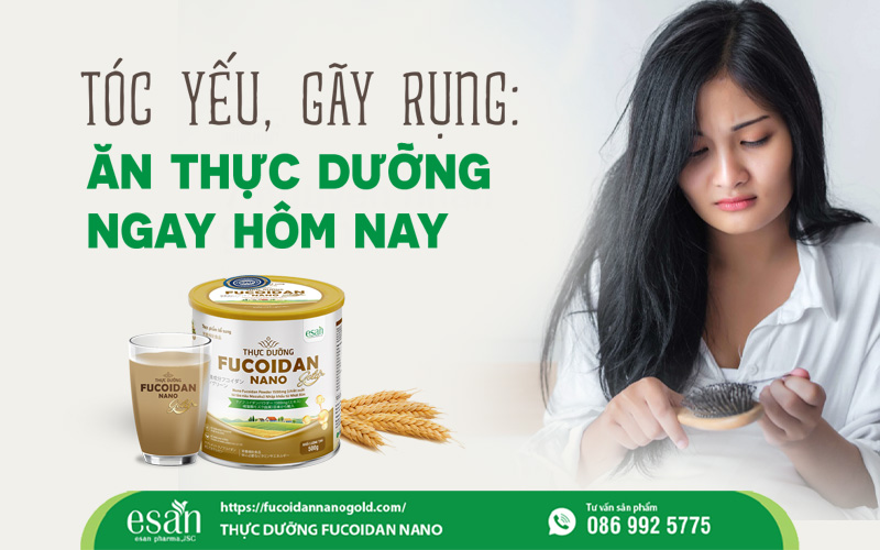 Thực dưỡng cho tóc yếu, gãy rụng áp dụng ngay hôm nay