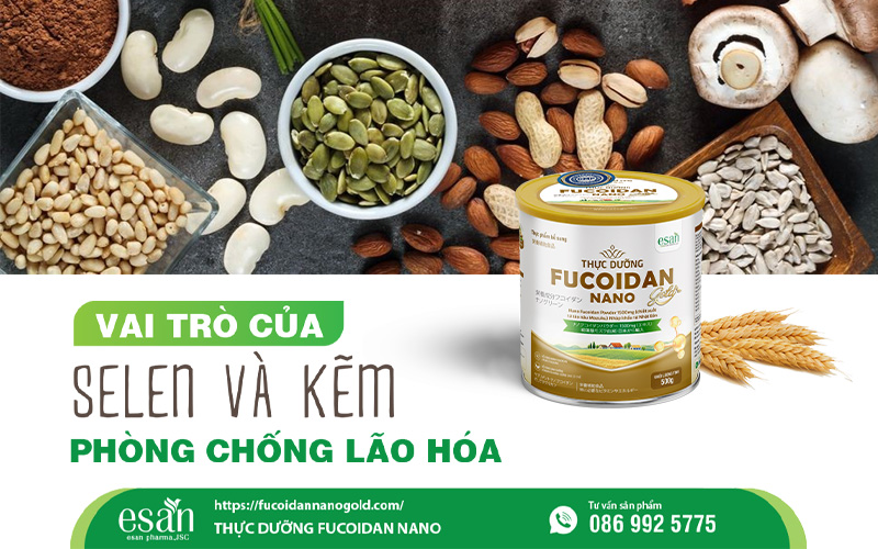 Selen và kẽm - ứng dụng trong phòng chống lão hóa