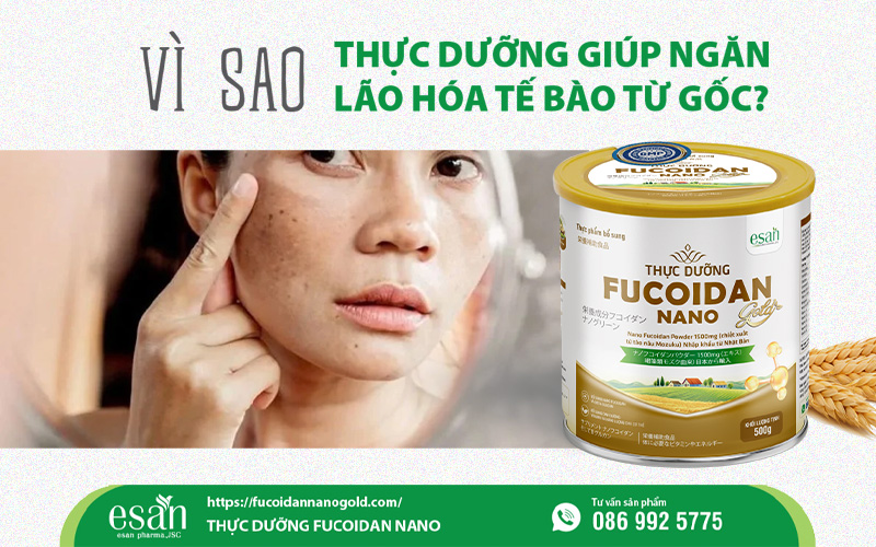 Vì sao thực dưỡng giúp ngăn lão hóa tế bào từ gốc?