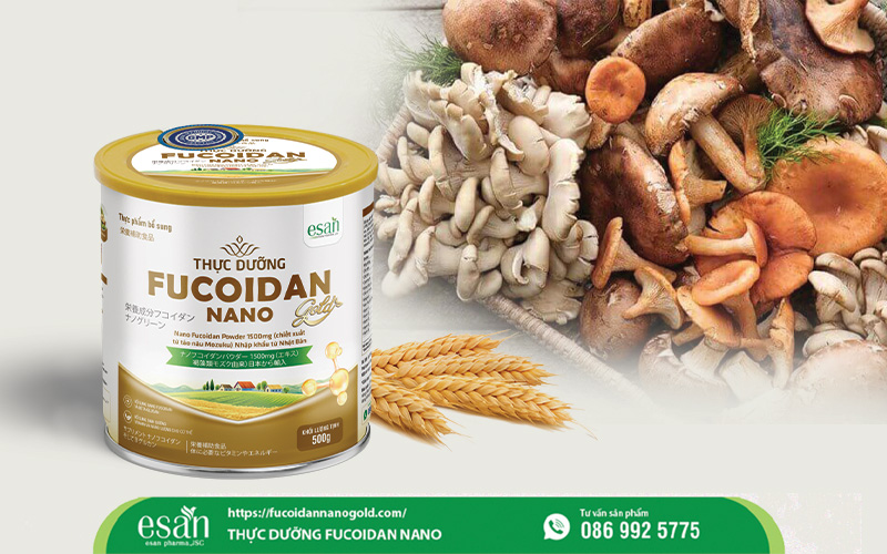 Nhân đôi lợi ích khi kết hợp Fucoidan Nano với Beta Glucan