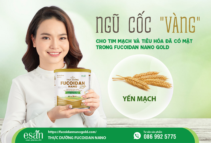 Vai trò của yến mạch trong sản phẩm Fucoidan Nano Gold 